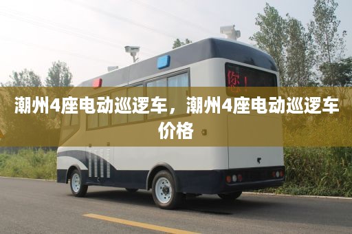 潮州4座电动巡逻车，潮州4座电动巡逻车价格