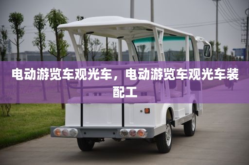 电动游览车观光车，电动游览车观光车装配工